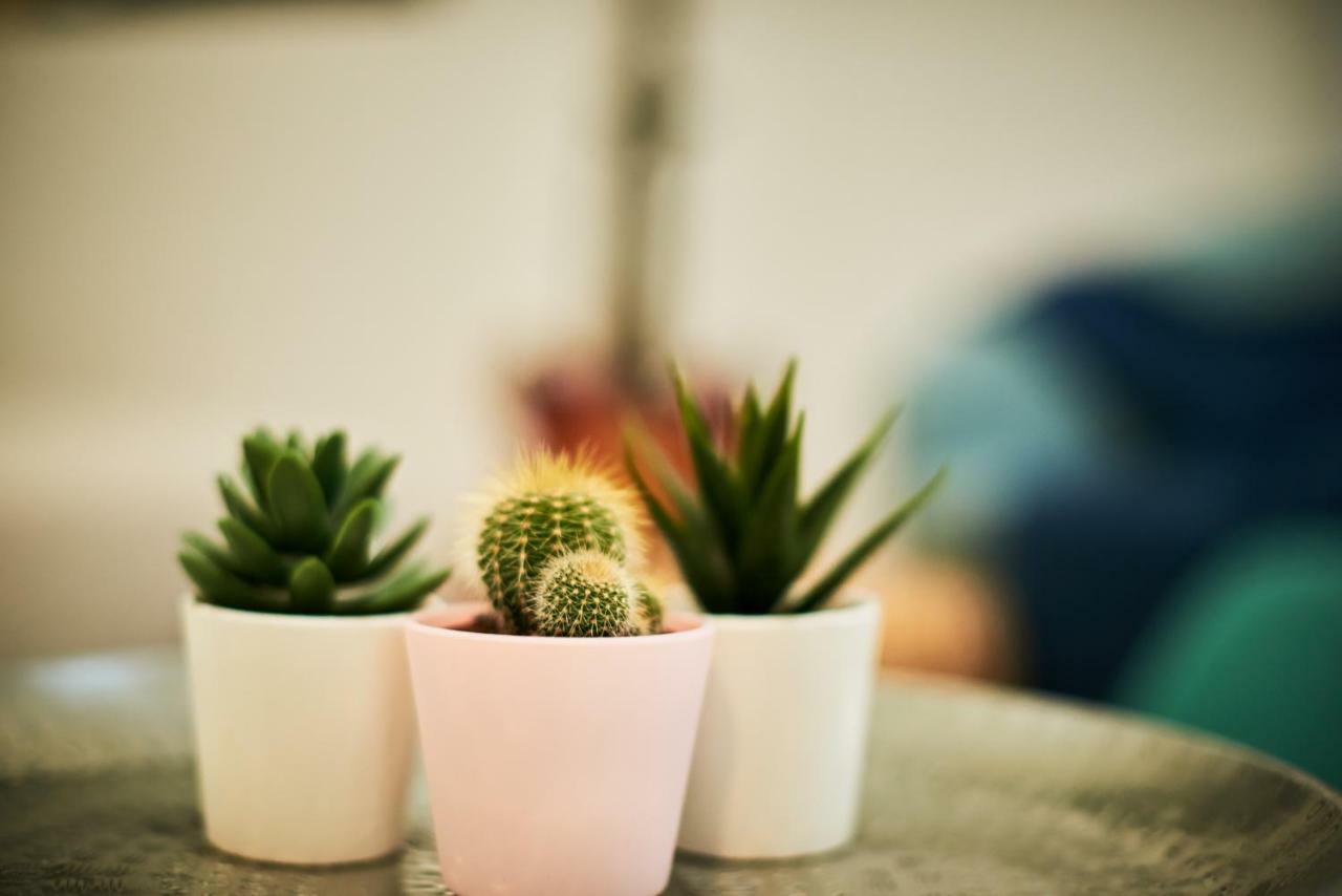 Self Check-In Cozy Stylish Flat By Vaci Street Apartment Budapest Ngoại thất bức ảnh